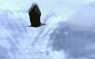 上市公司动态 中国重工9月5日终止上市正泰安能数字能源主板IPO终止和林微纳拟H